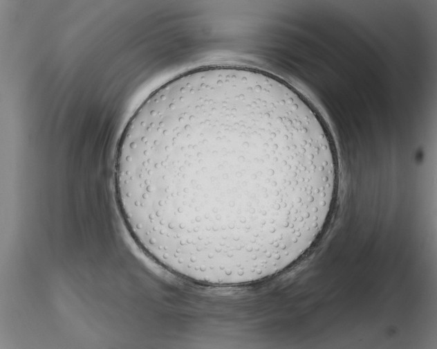 X0000116161437201001041105
