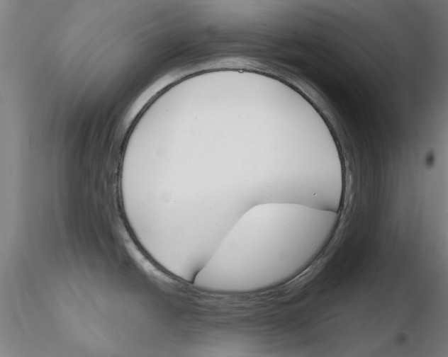X0000116161438201001041105