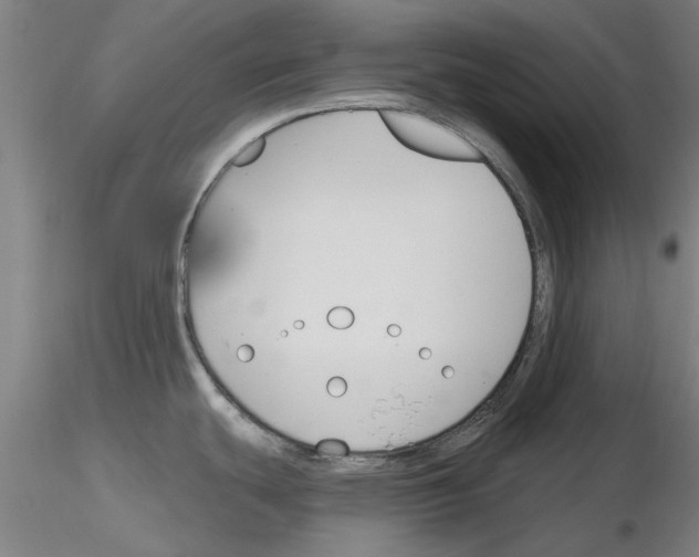 X0000116161439201001041105