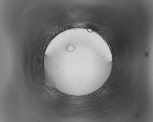 X0000116161441201001041104