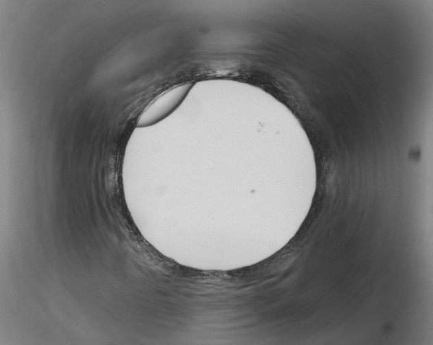 X0000116161442201001041104