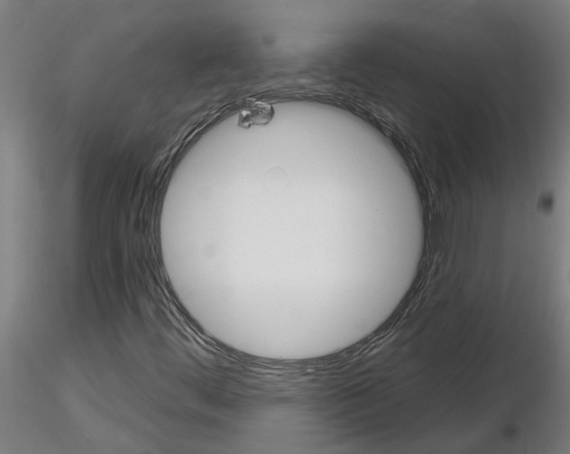 X0000116161444201001041104