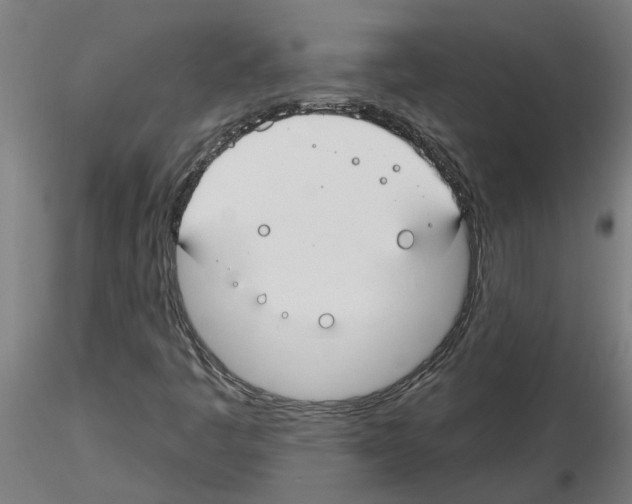 X0000116161445201001041104