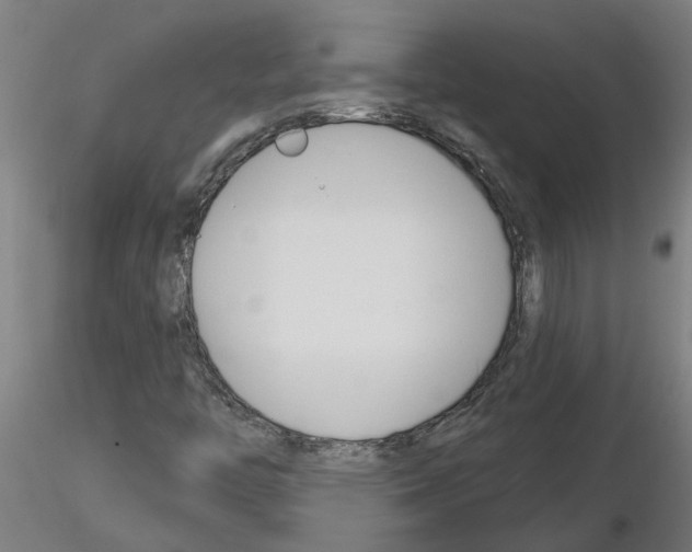 X0000116161446201001041104