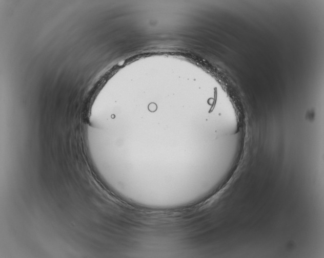 X0000116161449201001041104