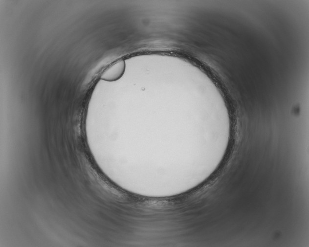 X0000116161451201001041104
