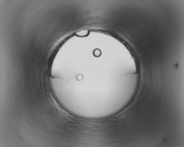 X0000116161452201001041104