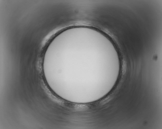X0000116161454201001041104