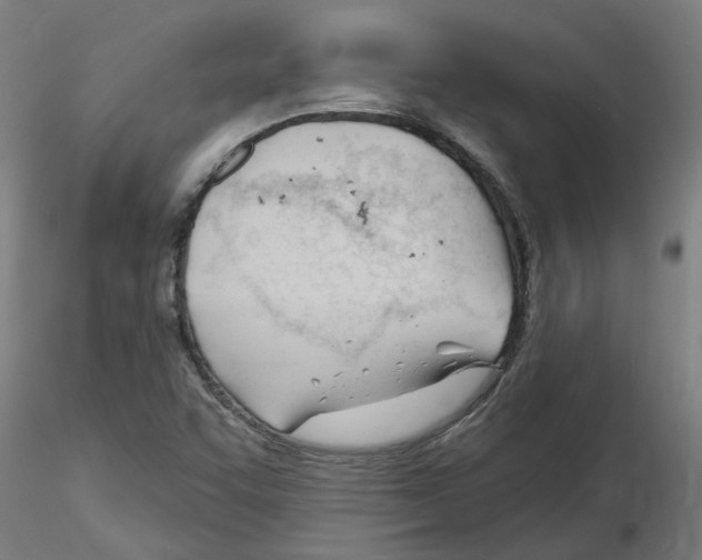 X0000116161455201001041104