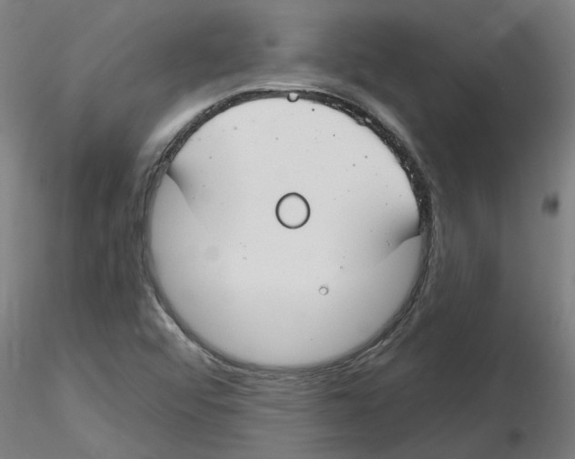 X0000116161456201001041104
