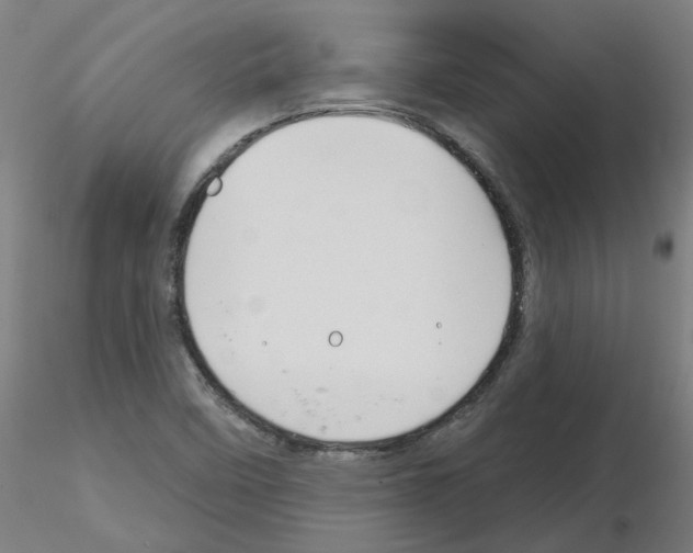 X0000116161458201001041104