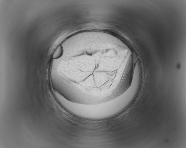 X0000116161459201001041104
