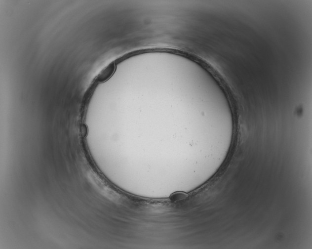 X0000116161460201001041104