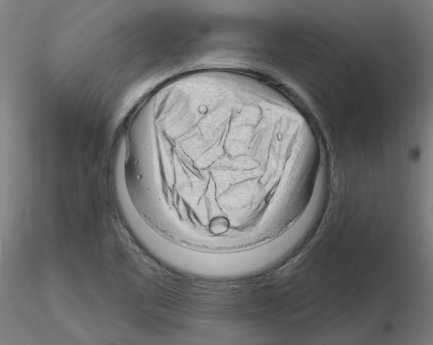 X0000116161461201001041104