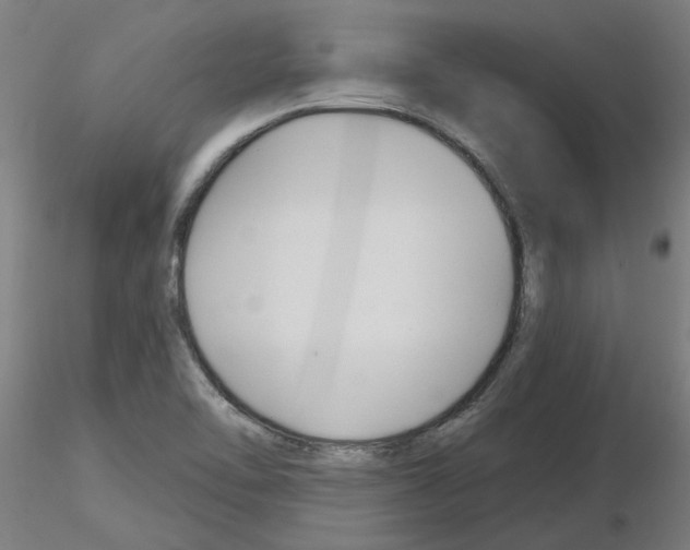 X0000116161462201001041104