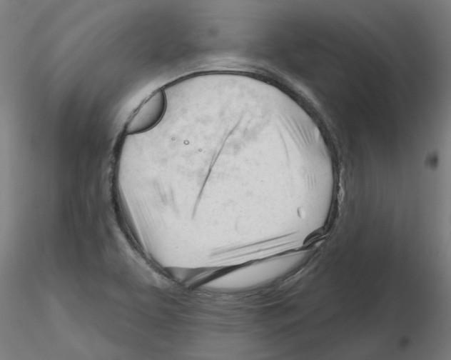 X0000116161463201001041104
