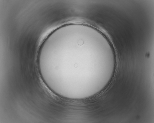 X0000116161464201001041104