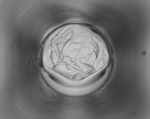 X0000116161465201001041104