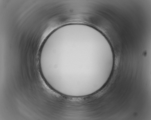 X0000116161466201001041104