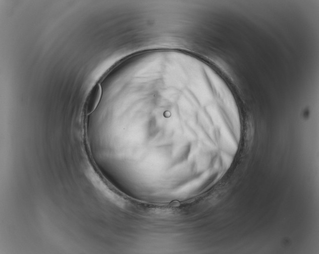 X0000116161468201001041104