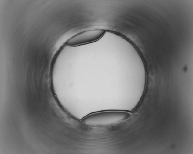 X0000116161469201001041104