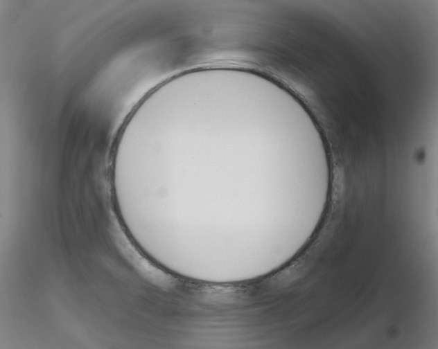 X0000116161470201001041104