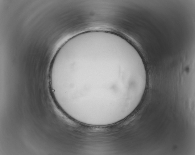X0000116161471201001041104