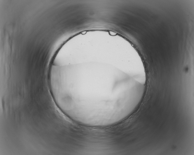 X0000116161472201001041104