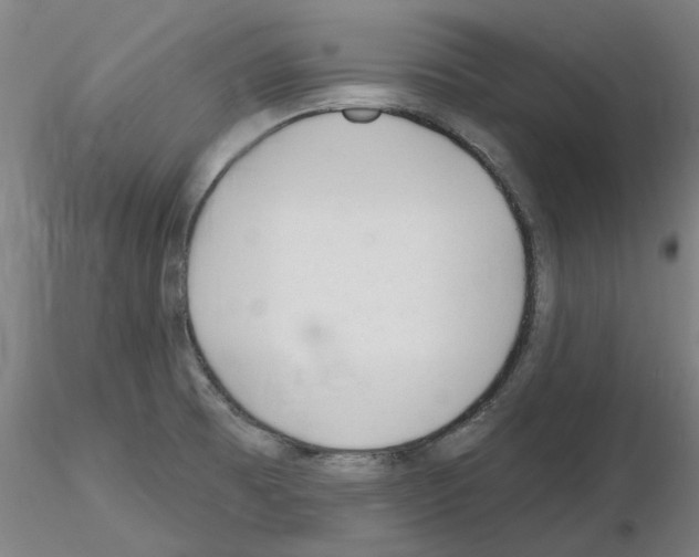 X0000116161473201001041104
