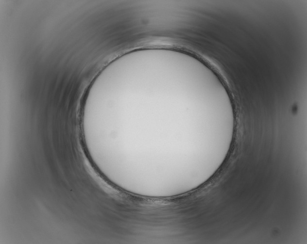 X0000116161475201001041104