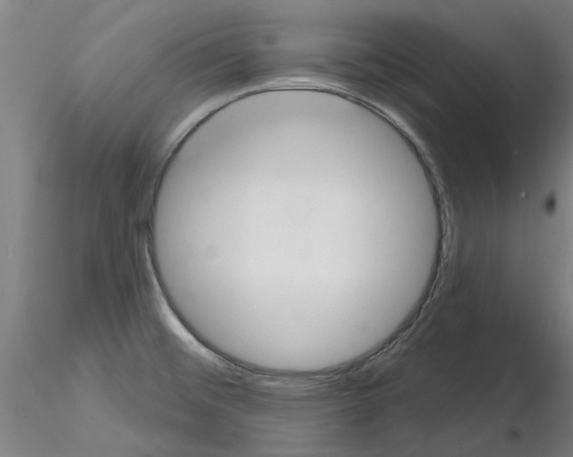 X0000116161476201001041104