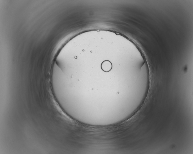 X0000116161477201001041104