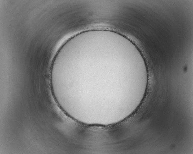 X0000116161478201001041104