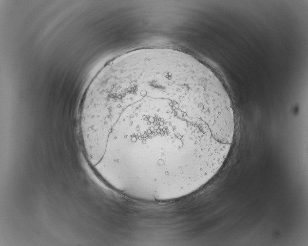 X0000116161479201001041104