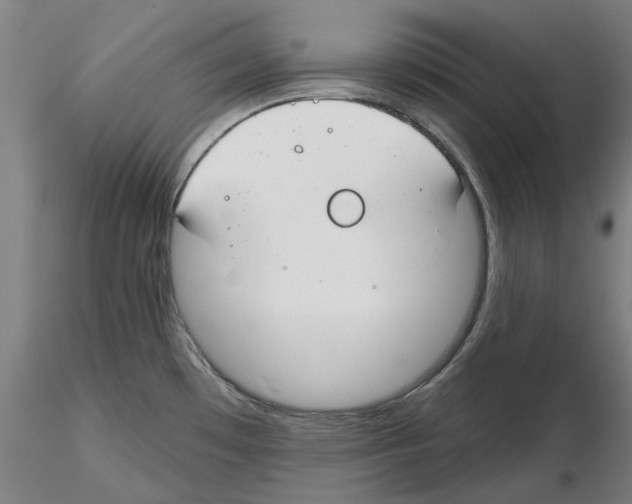 X0000116161481201001041104