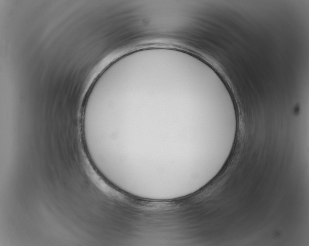 X0000116161482201001041104