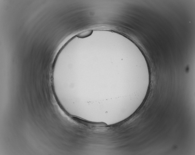 X0000116161484201001041104