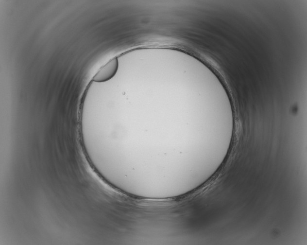 X0000116161487201001041104