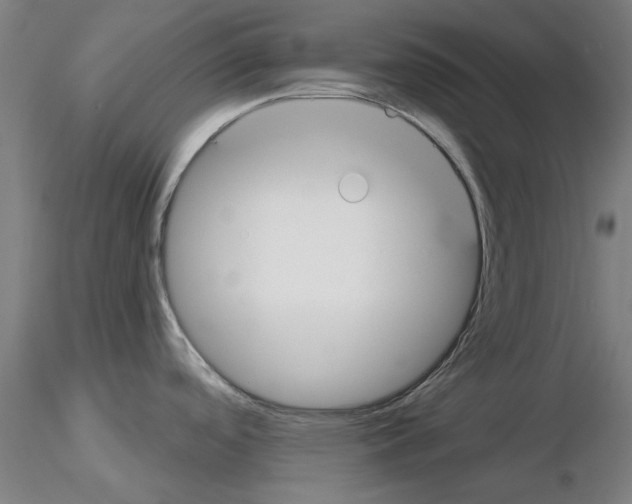 X0000116161488201001041104
