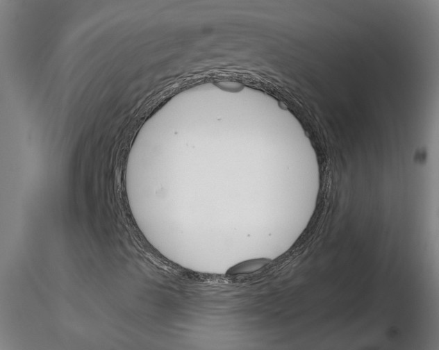 X0000116161489201001041103