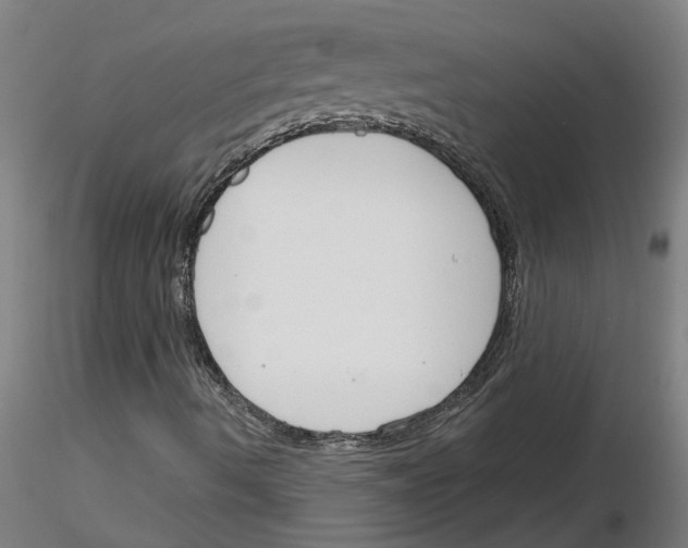X0000116161490201001041103