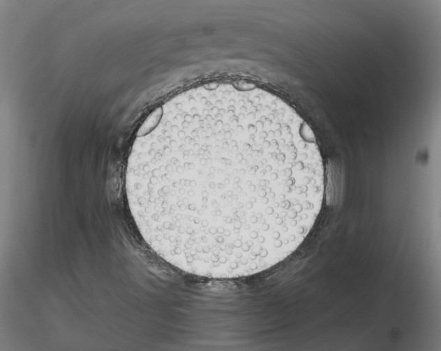 X0000116161491201001041103