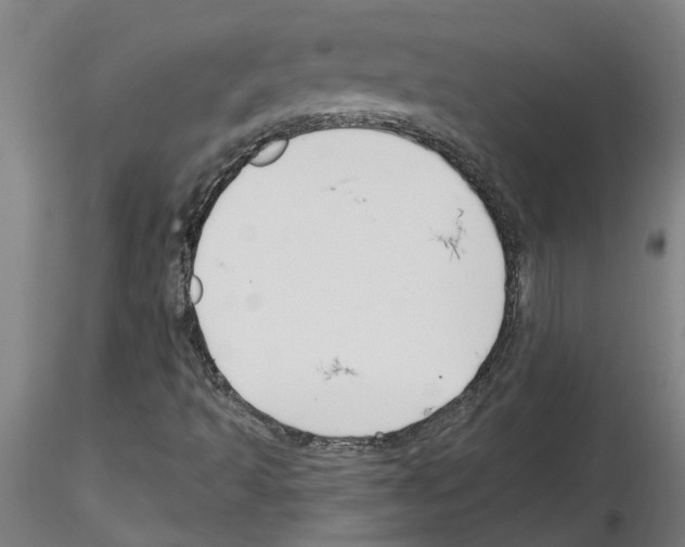 X0000116161493201001041103