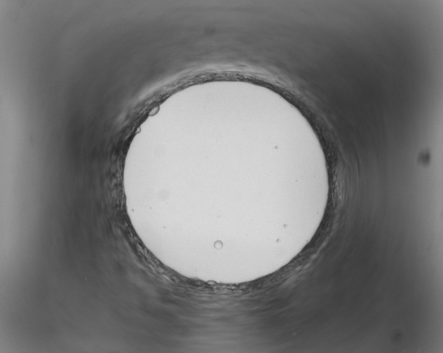 X0000116161494201001041103