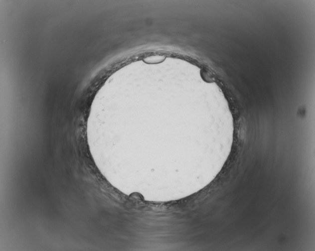 X0000116161495201001041103