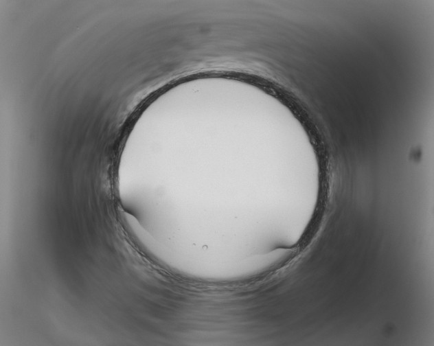 X0000116161497201001041103