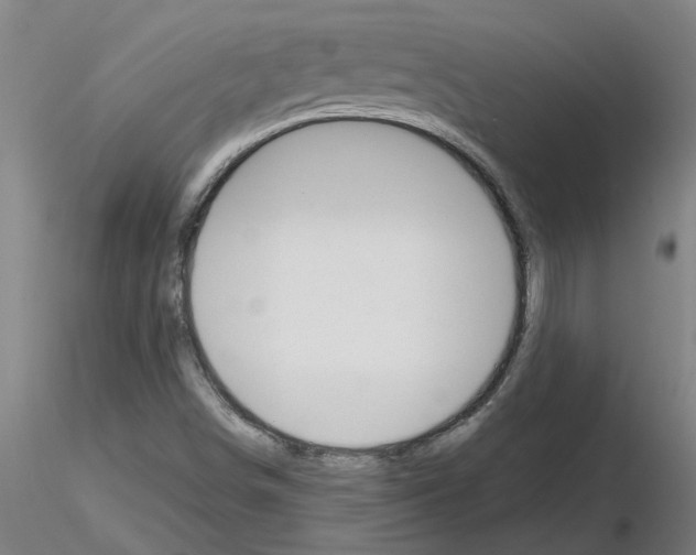 X0000116161498201001041103