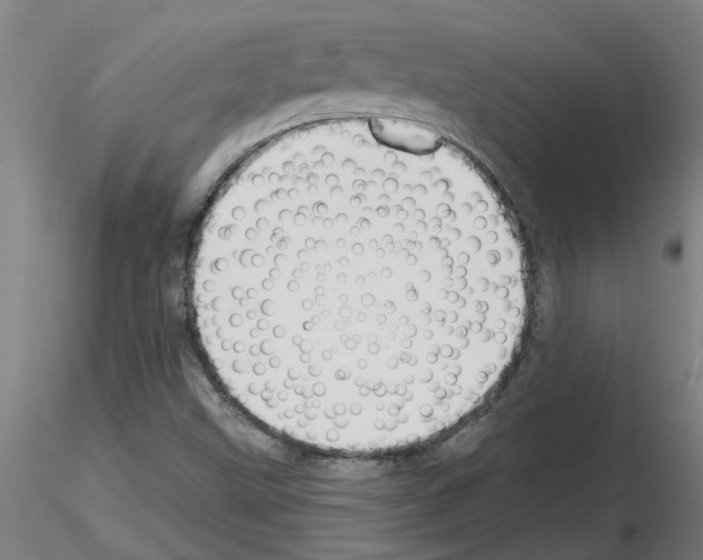 X0000116161499201001041103