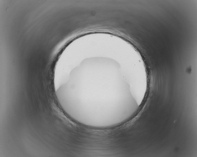 X0000116161502201001041103