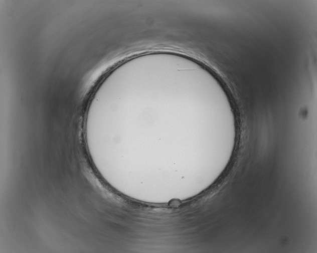 X0000116161503201001041103